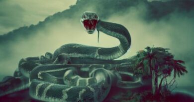 אי הנחשים ברזיל - תמונת אווירה