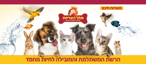 מלך האריות - באנר
